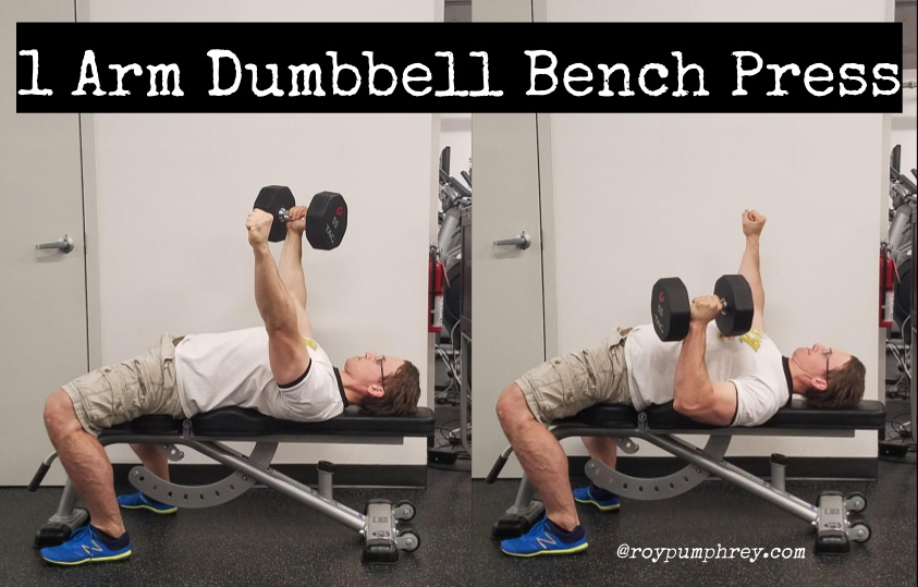 Build Your Abs AND Upper Body with the Single-Arm Dumbbell Bench Press -  Robertson Training Systems